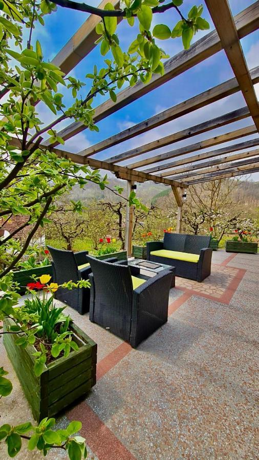 Vila Djordjevic - Priroda Vas Okruzuje Brus Экстерьер фото